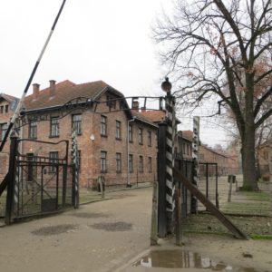Auschwitz-Birkenau tour with hotel pick up