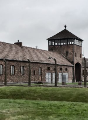 Auschwitz-Birkenau tour from Krakow guided