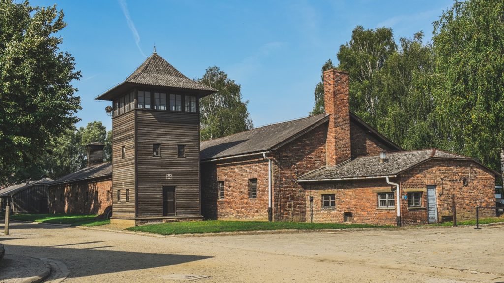 Auschwitz and Salt Mine private tours